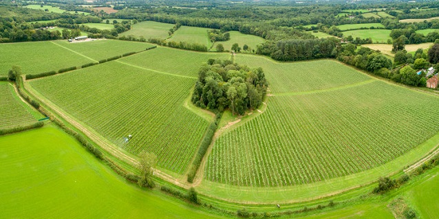 Highweald vyd